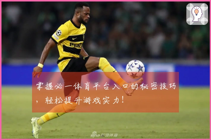 掌握必一体育平台入口的秘密技巧，轻松提升游戏实力！